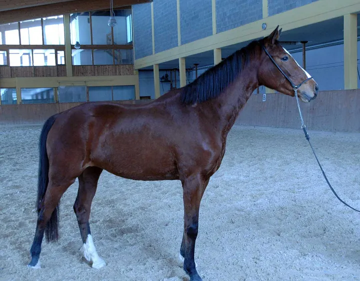 DSC-4797-web.jpg